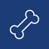 icons8-bone-100