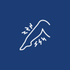 icons8-leg-pain-100