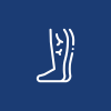 icons8-varicose-100